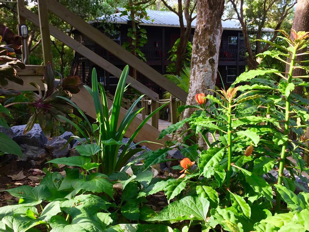 Upachaya Eco-Lodge & Wellness Resort Mud Hole Exterior foto
